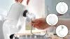 BOSCH MUM58200 Konyhai robotgép | MUM5 | 1000 W | Fehér/ezüst