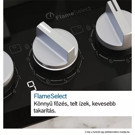 Bosch FŐZŐLAP BEÉPÍTHETŐ GÁZ PPQ7A6I40