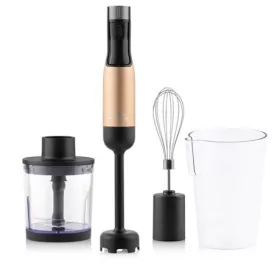 Eta BOTMIXER SZETT 1000 W LCD KIJELZŐVEL 321990020