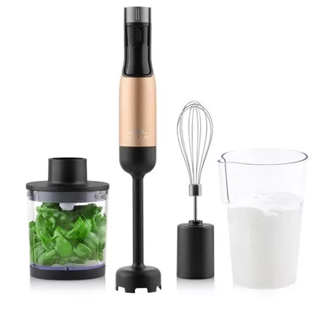 Eta BOTMIXER SZETT 1000 W LCD KIJELZŐVEL 321990020