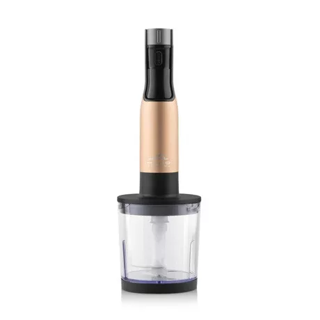 Eta BOTMIXER SZETT 1000 W LCD KIJELZŐVEL 321990020