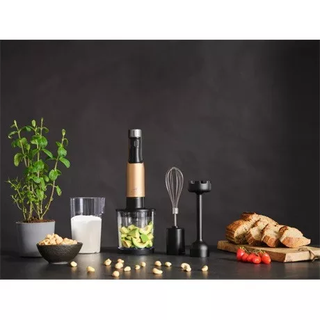 Eta BOTMIXER SZETT 1000 W LCD KIJELZŐVEL 321990020
