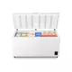 Gorenje FAGYASZTÓLÁDA 500 L FH50EAW