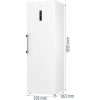 Gorenje HŰTŐ EGYAJTÓS R619DAW6