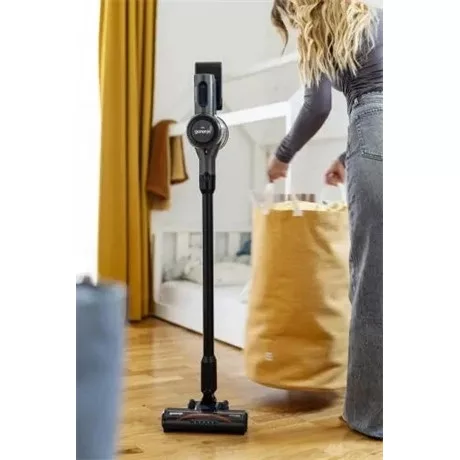 Gorenje PORSZÍVÓ ÁLLÓ 2 IN 1 SVC222480AA