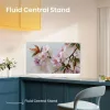 Hisense TV 32" FULL HD LIFESTYLE QLED 32S5Q