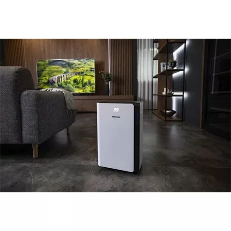 Hisense PÁRAMENTESÍTŐ D20CW