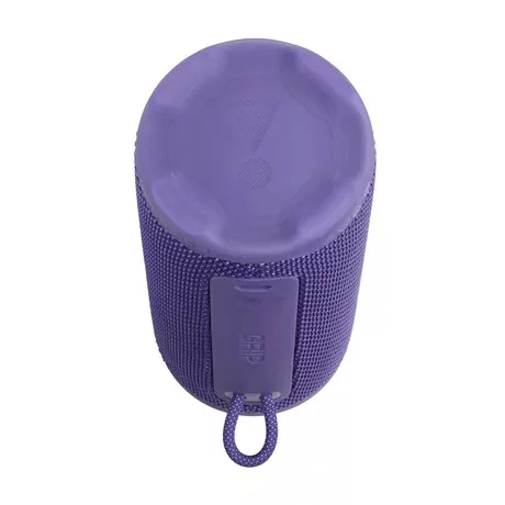 Jbl BLUETOOTH HANGSZÓRÓ GRIPPUR