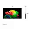 Lg TV 77" 4K UHD OLED AI SMART TV 2026,DOLBY VISION WEBOS OLED77B62LA.AEU