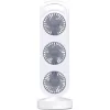 Lifetime Air VENTILÁTOR OSZLOP ASZTALI USB-S 871125243632