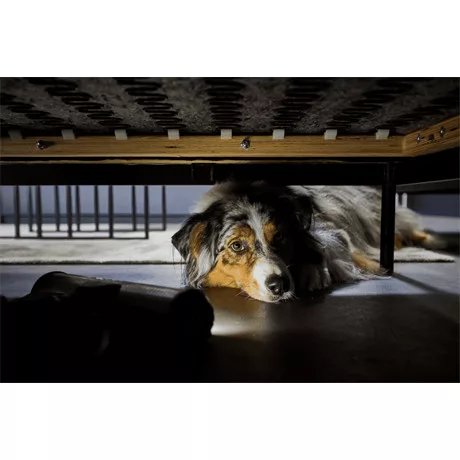 Rowenta PORSZÍVÓ ÁLLÓ RH9A32WO