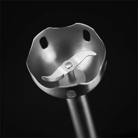 Russell Hobbs BOTMIXER 24690-56