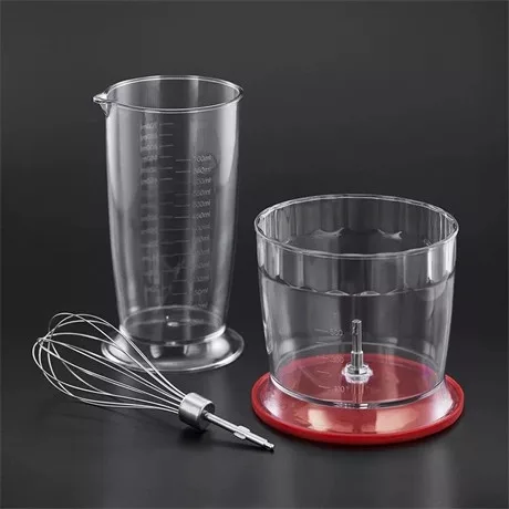 Russell Hobbs BOTMIXER 3in1 24700-56