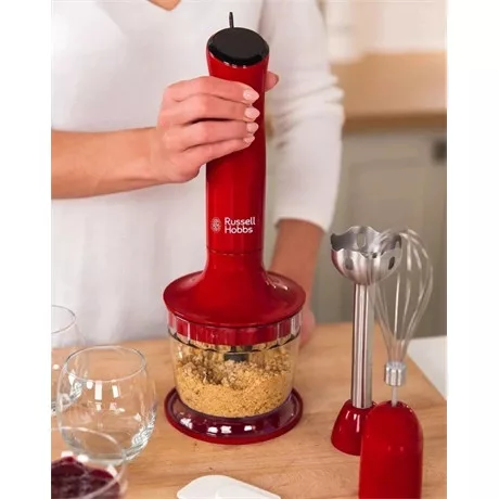 Russell Hobbs BOTMIXER 3in1 24700-56