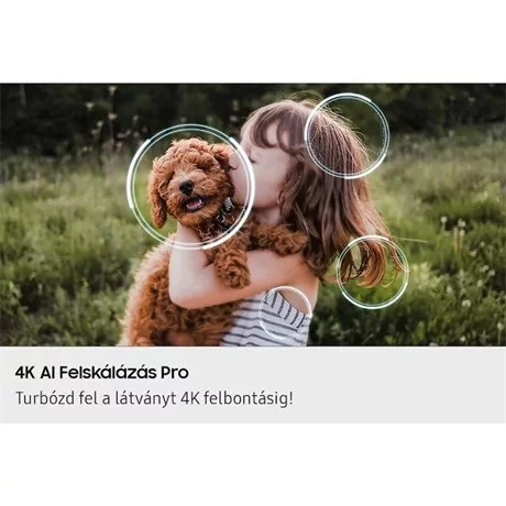 Samsung UHD OLED SMART TV QE42S90FAEXXH