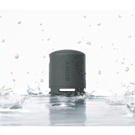 Sony BLUETOOTH HANGSZÓRÓ SRSXB100B