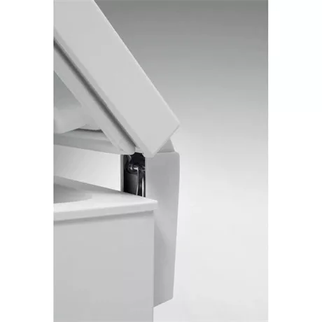 Whirlpool FAGYASZTÓLÁDA 315 L WHE31352